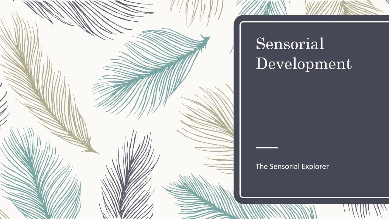 Sensorial Education Unlocking the Power of Senses in Learning